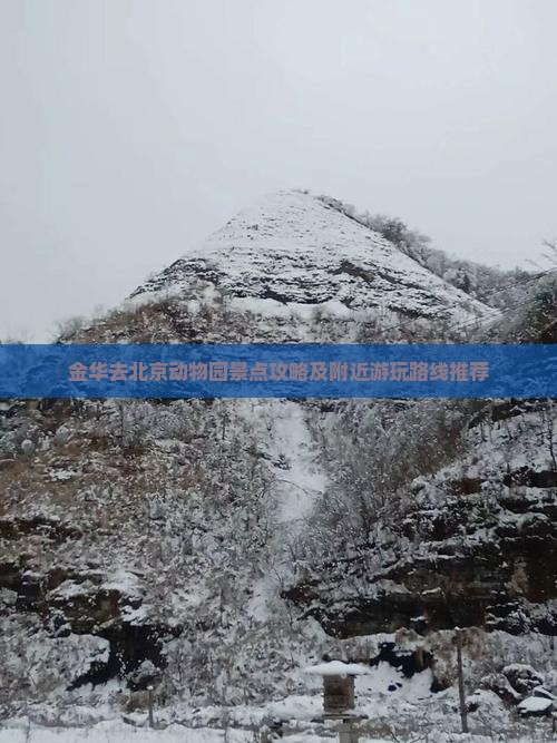 金华去北京动物园景点攻略及附近游玩路线推荐