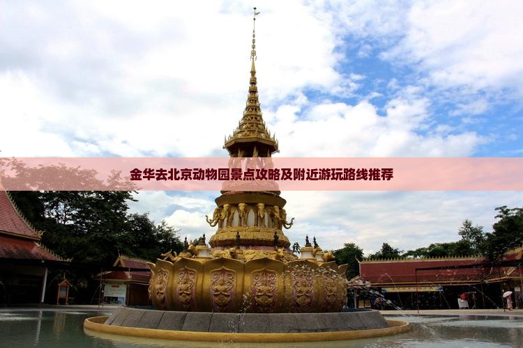 金华去北京动物园景点攻略及附近游玩路线推荐