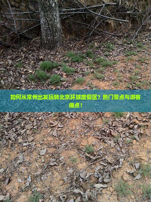如何从常州出发玩转北京环球度假区？热门景点与游客痛点！