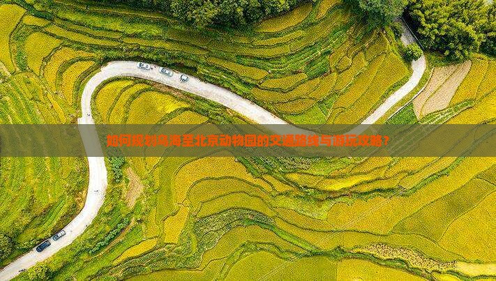 如何规划乌海至北京动物园的交通路线与游玩攻略？