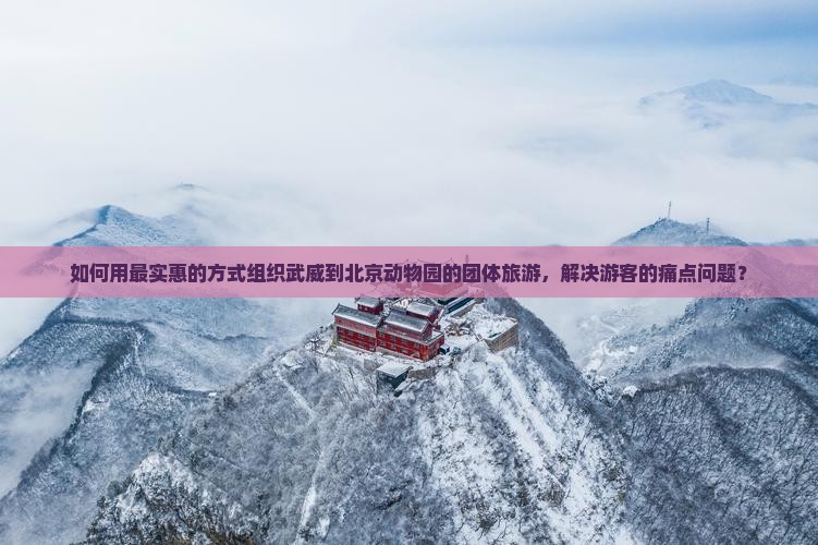 如何用最实惠的方式组织武威到北京动物园的团体旅游，解决游客的痛点问题？