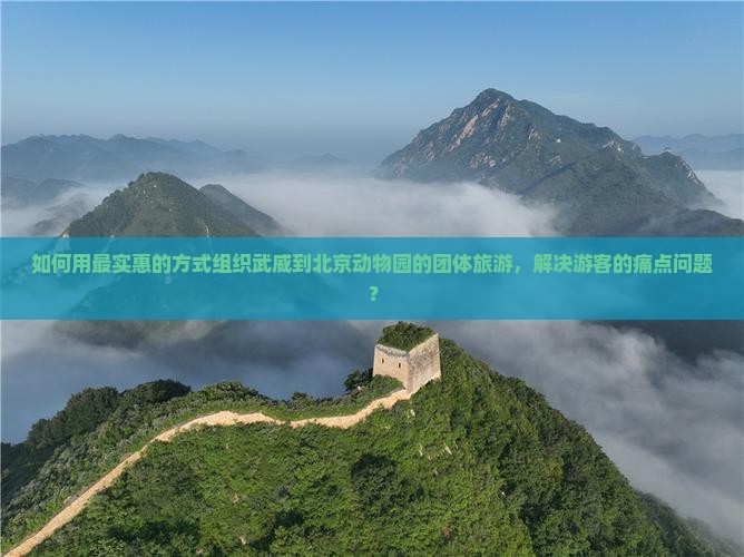 如何用最实惠的方式组织武威到北京动物园的团体旅游，解决游客的痛点问题？