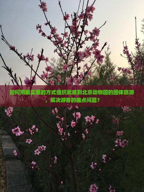 如何用最实惠的方式组织武威到北京动物园的团体旅游，解决游客的痛点问题？