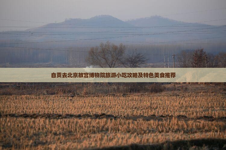 自贡去北京故宫博物院旅游小吃攻略及特色美食推荐