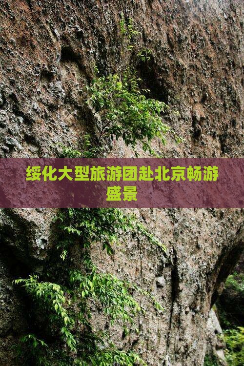 绥化大型旅游团赴北京畅游盛景