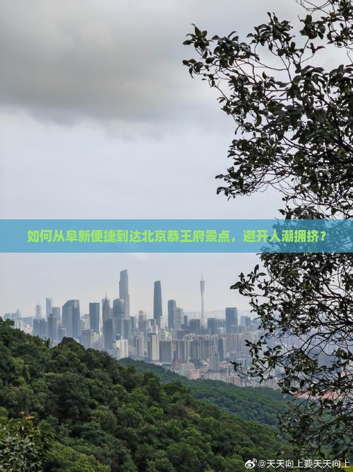 如何从阜新便捷到达北京恭王府景点，避开人潮拥挤？