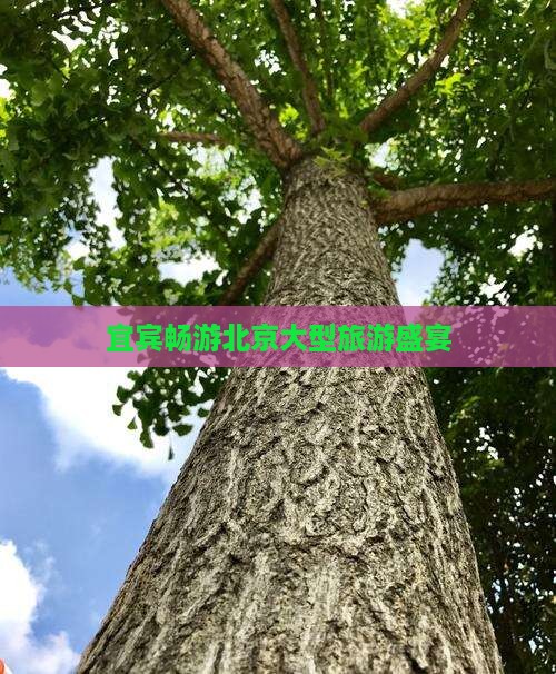 宜宾畅游北京大型旅游盛宴