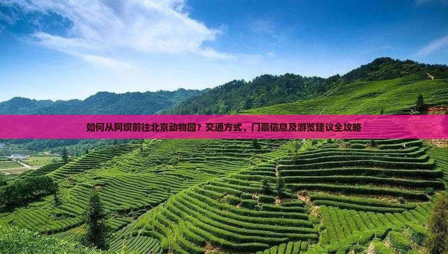 如何从阿坝前往北京动物园？交通方式、门票信息及游览建议全攻略