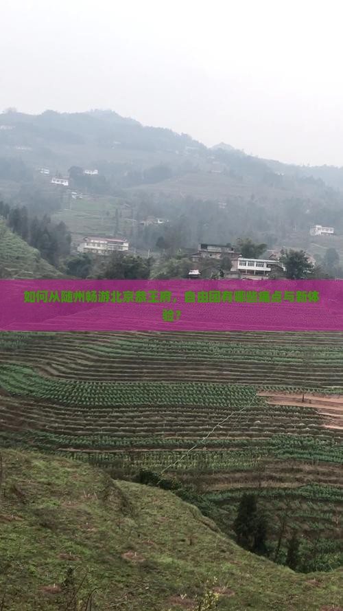 如何从随州畅游北京恭王府，自由团有哪些痛点与新体验？