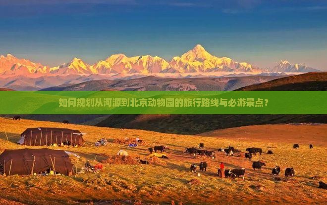 如何规划从河源到北京动物园的旅行路线与必游景点？