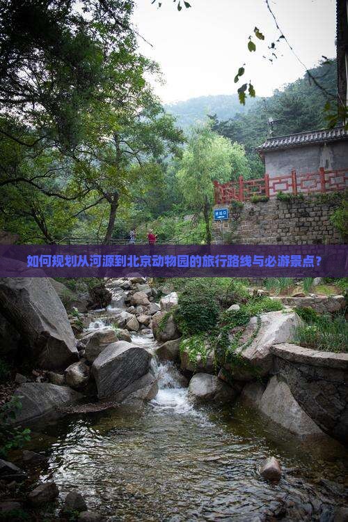 如何规划从河源到北京动物园的旅行路线与必游景点？