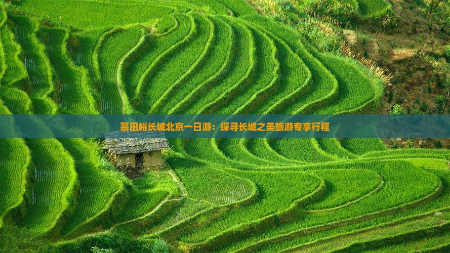 慕田峪长城北京一日游：探寻长城之美旅游专享行程