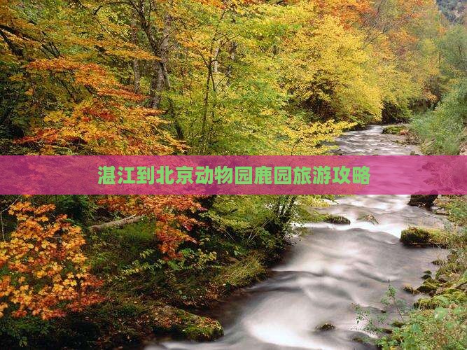 湛江到北京动物园鹿园旅游攻略