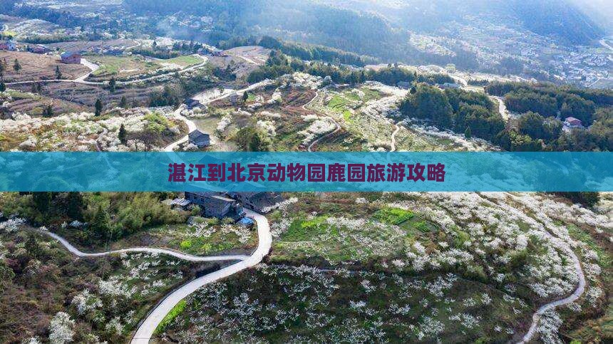 湛江到北京动物园鹿园旅游攻略