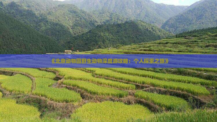 《北京动物园野生动物深度游攻略：个人探索之旅》