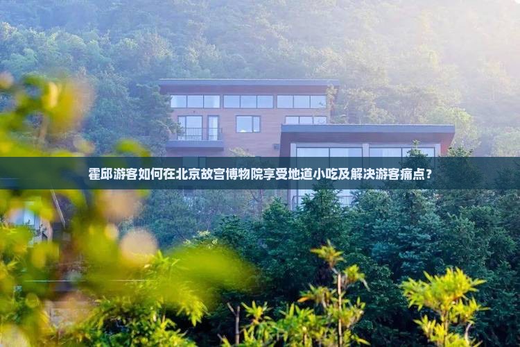霍邱游客如何在北京故宫博物院享受地道小吃及解决游客痛点？