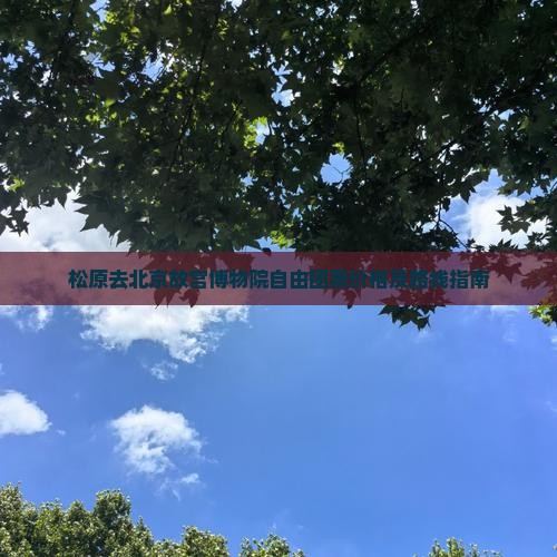 松原去北京故宫博物院自由团票价格及路线指南