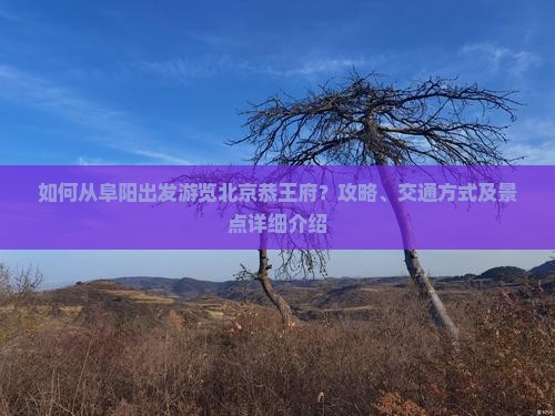 如何从阜阳出发游览北京恭王府？攻略、交通方式及景点详细介绍
