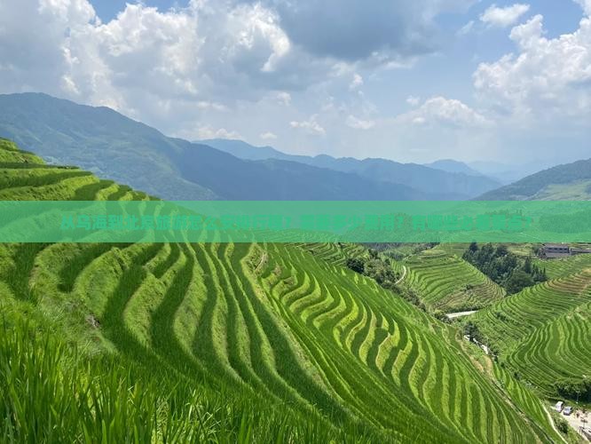 从乌海到北京旅游怎么安排行程？需要多少费用？有哪些必看景点？