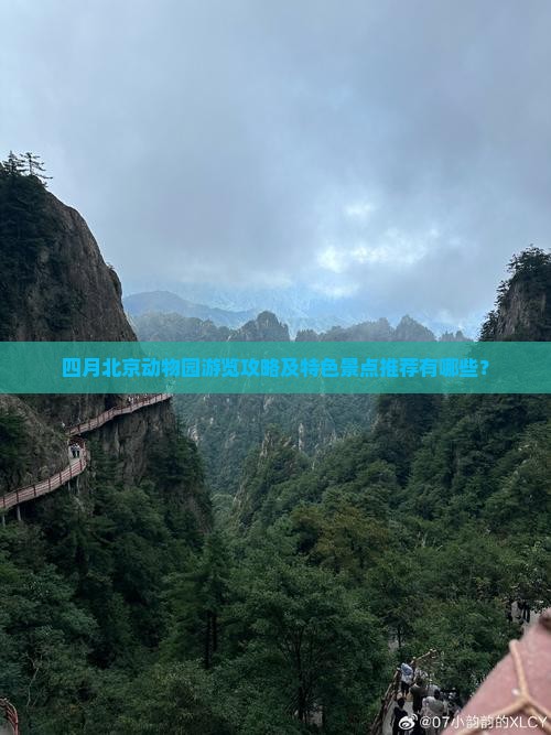 四月北京动物园游览攻略及特色景点推荐有哪些？