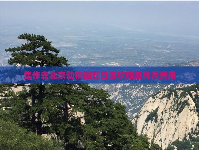 焦作去北京动物园五日游攻略路线及费用