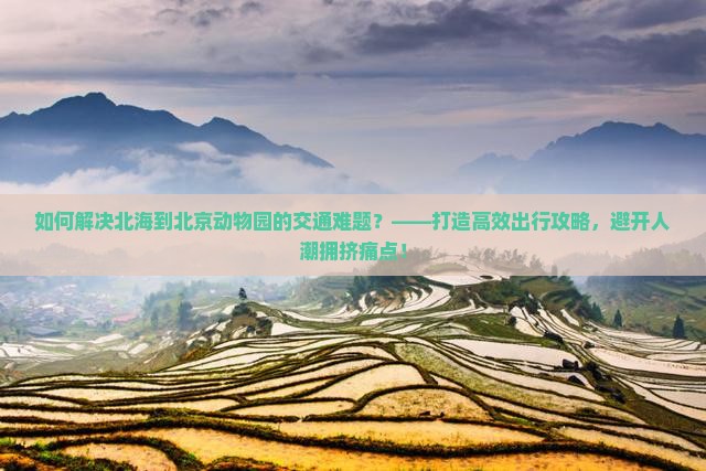 如何解决北海到北京动物园的交通难题？——打造高效出行攻略，避开人潮拥挤痛点！