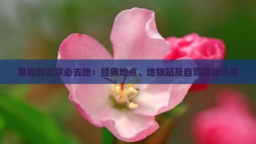 恩施到北京必去地：经典地点、地铁站及自驾路线详解