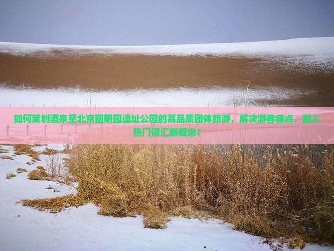 如何策划茶泉至北京圆明园遗址公园的高品质团体旅游，解决游客痛点，融入热门词汇新概念？