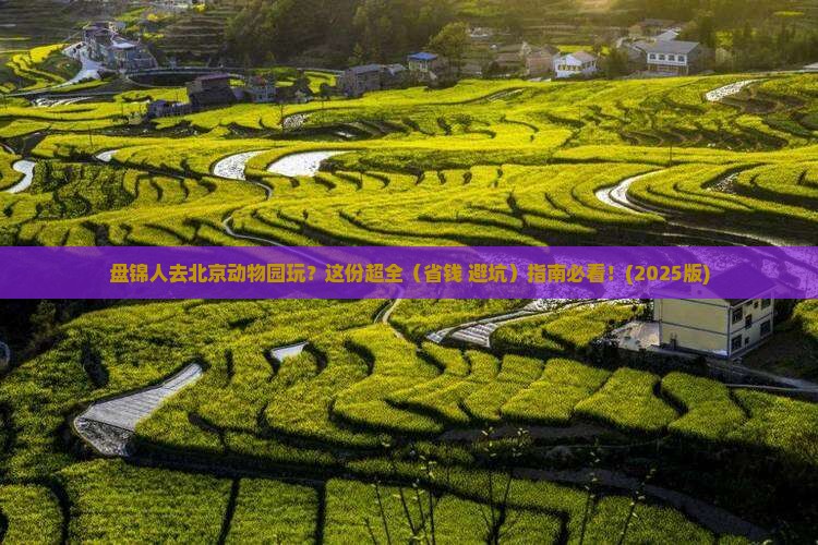 盘锦去北京动物园哪里玩
