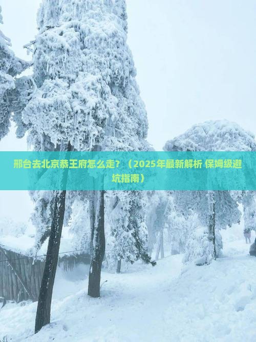 邢台去北京恭王府攻略