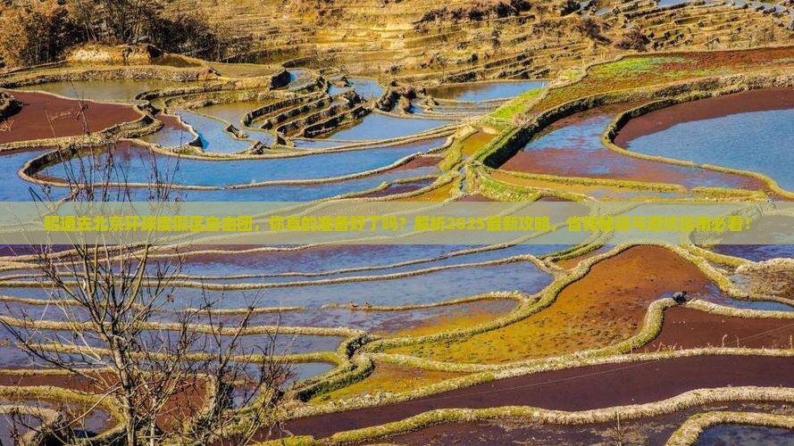 昭通去北京环球度假区自由团