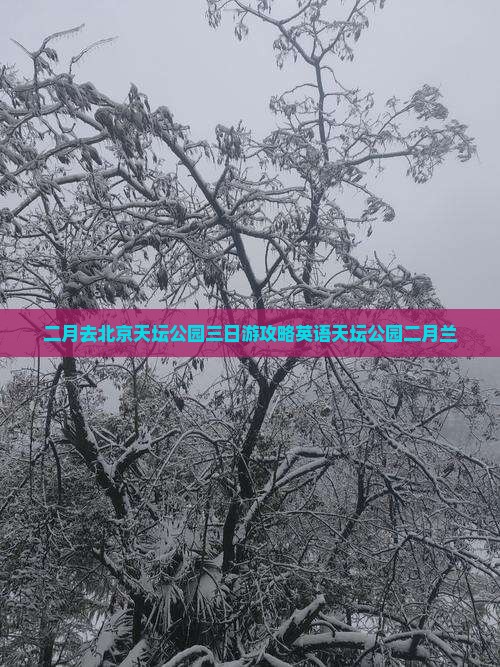 二月去北京天坛公园三日游