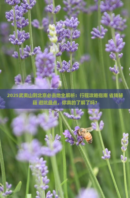 武夷山到北京必去地