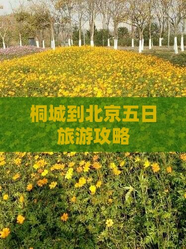 桐城到北京五日游