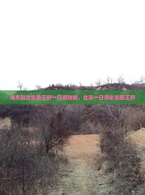 海东到北京恭王府一日游