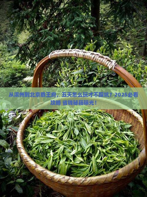 滨州到北京恭王府五日游