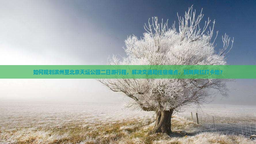 如何规划滨州至北京天坛公园二日游行程，解决交通和住宿痛点，玩转网红打卡地？