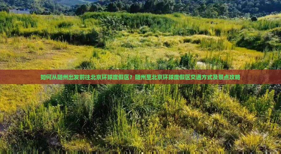 如何从随州出发前往北京环球度假区？随州至北京环球度假区交通方式及景点攻略