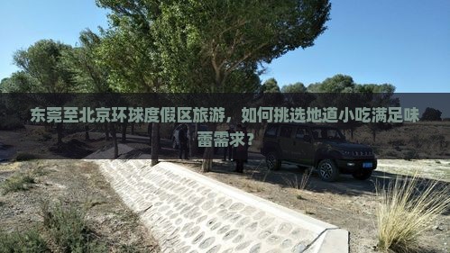 东莞至北京环球度假区旅游，如何挑选地道小吃满足味蕾需求？