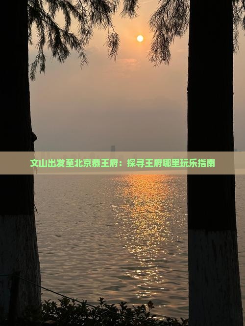 文山出发至北京恭王府：探寻王府哪里玩乐指南