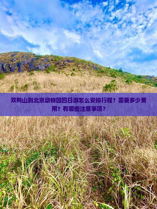 双鸭山到北京动物园四日游怎么安排行程？需要多少费用？有哪些注意事项？