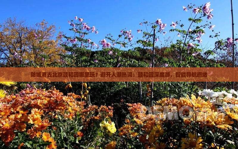防城港去北京颐和园哪里玩？避开人潮热词：颐和园深度游，智能导航避堵