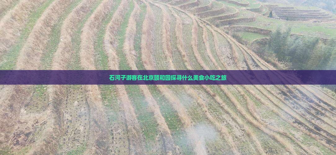 石河子游客在北京颐和园探寻什么美食小吃之旅