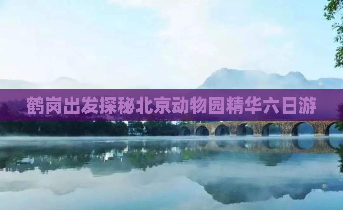 鹤岗出发探秘北京动物园精华六日游