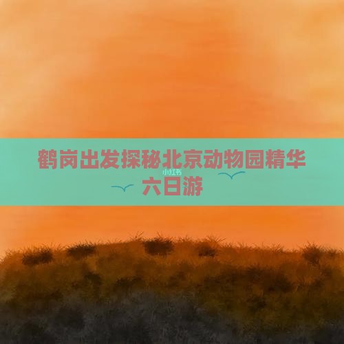 鹤岗出发探秘北京动物园精华六日游