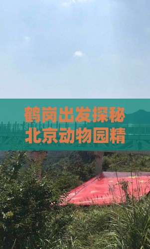鹤岗出发探秘北京动物园精华六日游