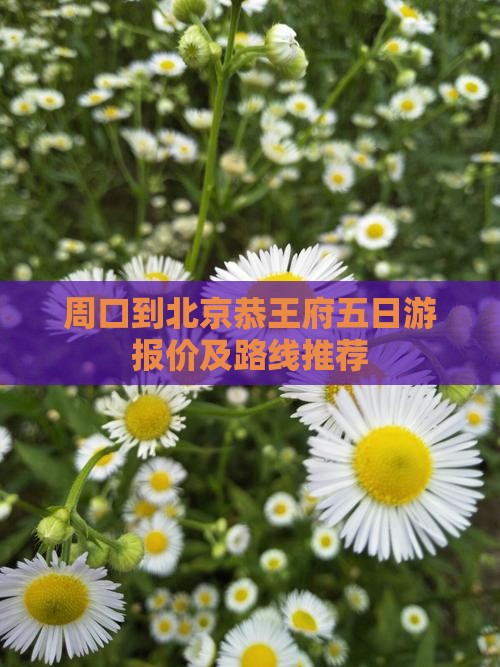 周口到北京恭王府五日游报价及路线推荐