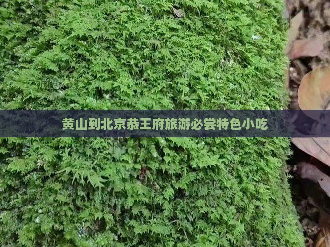 黄山到北京恭王府旅游必尝特色小吃