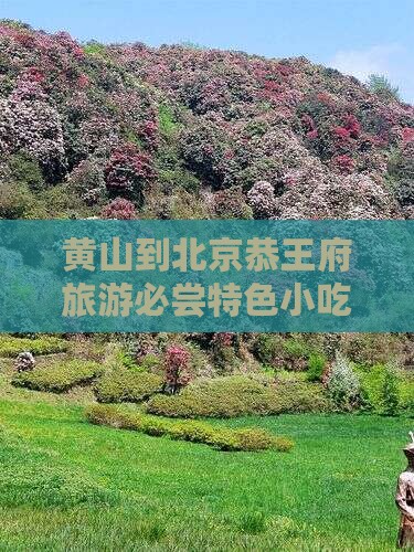 黄山到北京恭王府旅游必尝特色小吃