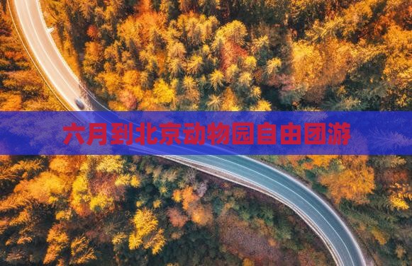 六月到北京动物园自由团游